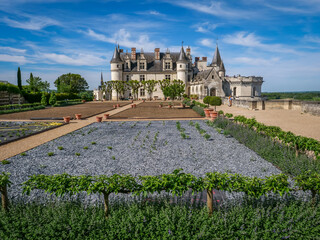 Château royal d'Amboise sur la Loire en France