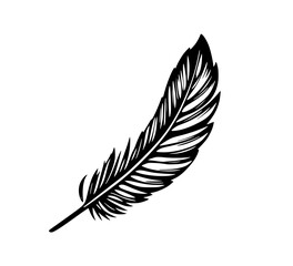 Fototapeta premium Feather in Black and White: A single feather with intricate detail, rendered in black and white. The feather's delicate structure and natural elegance evoke a sense of tranquility and sophistication.