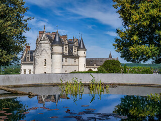 Château royal d'Amboise sur la Loire en France