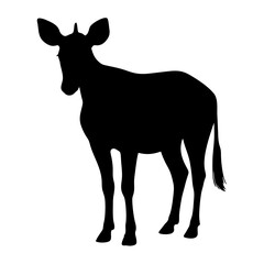 Okapi animal silhouette. Vector image