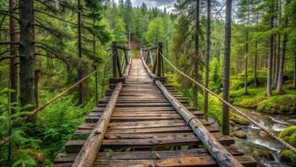 Ancient wooden bridge suspended high above forest floor in Russian wilderness , wilderness bridge, woodland scenery