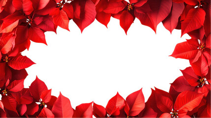 Red Poinsettia Frame for Christmas