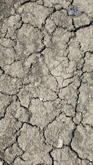 Cracked earth surface reveals effects of drought in an arid landscape during daytime