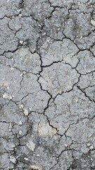 Cracked dry earth reveals texture and patterns in a barren environment