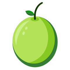 Winter Melon Vector on White Background