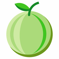 Winter Melon Vector on White Background