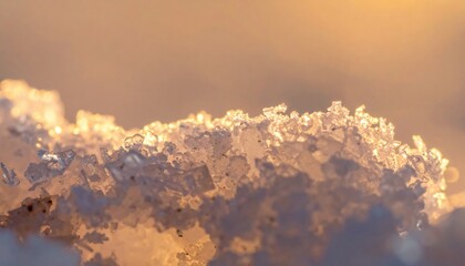 Intricate ice crystals forming on snowy surface natural setting close-up photography warm light environment macro viewpoint nature's beauty