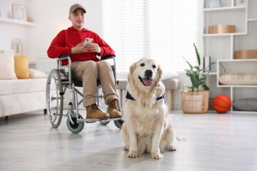 Service dog and boy in wheelchair at home, selective focus