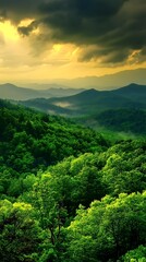 Fototapeta premium Stunning aerial view of a vast mountainous landscape covered in a dense verdant forest canopy with dramatic clouds and lighting creating an ethereal dreamlike atmosphere