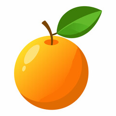 Simple Loquat Vector on White Background