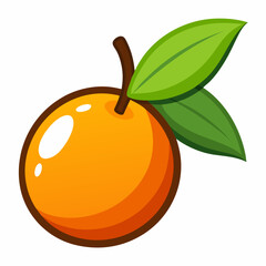 Simple Loquat Vector on White Background