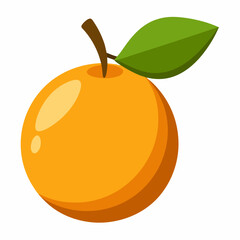 Simple Loquat Vector on White Background