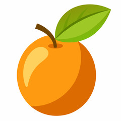 Simple Loquat Vector on White Background
