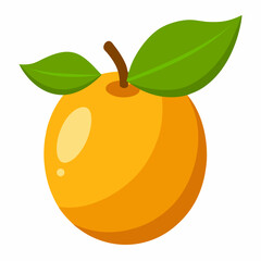 Simple Loquat Vector on White Background
