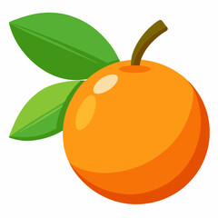 Simple Loquat Vector on White Background