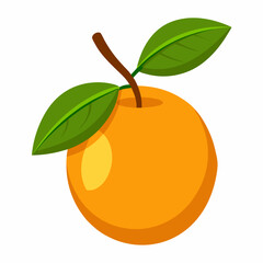 Simple Loquat Vector on White Background
