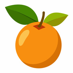 Simple Loquat Vector on White Background