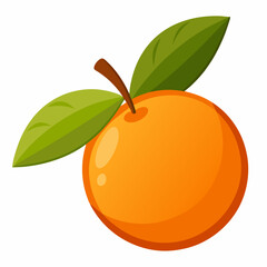 Simple Loquat Vector on White Background