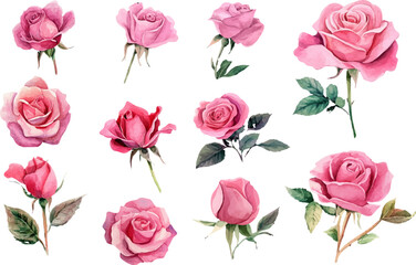Fototapeta premium bouquet of pink roses flowers