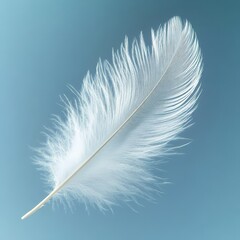 Soft White Feather on Blue Background