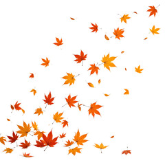 Colorful autumn leaves falling to the ground.