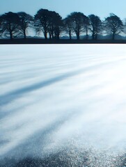 Frozen Fields and Silhouetted Trees: A mesmerizing scene where sunlight streaks across a frosty expanse, trees stand tall against the horizon.