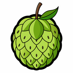 Simple Sweetsop Vector on White Background