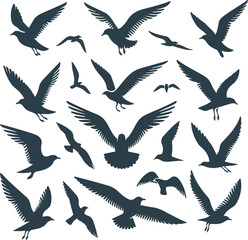 Obraz premium Set of seagull silhouette vectors