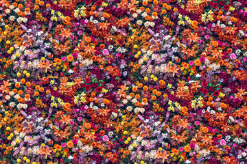 beautiful flower decoration for flora background.