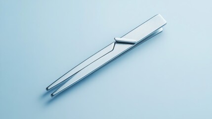 Modern, metallic clothespin