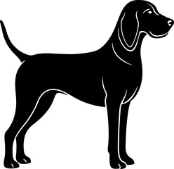 Bracco italiano simple black silhouette, Black silhouette vector icon, silhouette illustration.  Dog Vector