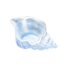 Ocean Treasures: Digital Watercolor illustrations