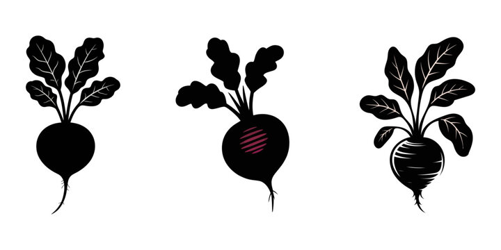2D flat vector illustration beetroot icon isolated on a white background, Beetroot icon, Vibrant Beetroot Cartoon Seamless Background Vector Illustration, A modern, hand-drawn outline of a beet.