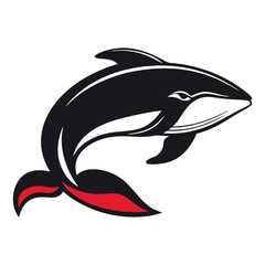 Black and White Orca with Red Detail on White Background