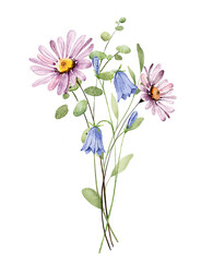 Watercolor wild flowers decor for stationary, greetings, etc. floral decoration. Digital botanical illustration hand drawing.