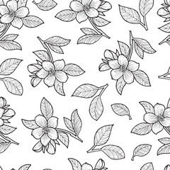 Seamless pattern of flowers and leaves. Illustration in hand-drawn style on a white background.