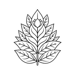 Botanical Outline Pattern Line Art