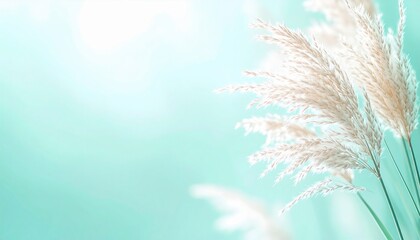 Gentle breeze blowing through soft grass outdoor serenity nature photography peaceful environment close-up view tranquility concept