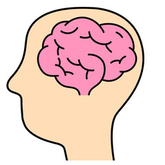 Humen head with brain