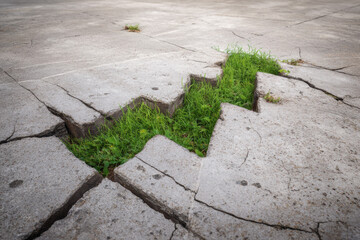 Grass grows through cracked concrete in an urban location, showcasing nature's resilience in a harsh environment
