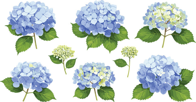 Watercolor set of blue hydrangea branch with leaves