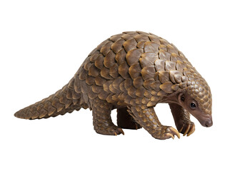 Pangolin Figurine CloseUp View isolated on white background