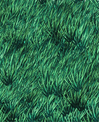 Detailed Close-Up of Lush Green Grass Blades