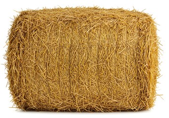 A close up shot of a rectangular bale of hay isolated on a white background in a studio setting