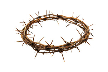 Fototapeta premium crown of thorns on a white background