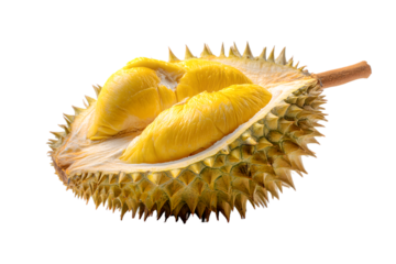 halved durian isolated on transparent background