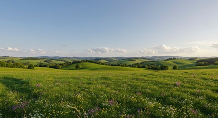 Lush, rolling hills blanketed in vibrant green grasses and wildflowers under a serene sky
