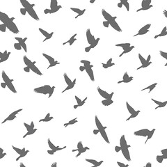 Fototapeta premium Flight of Shadows AI Generated