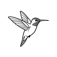 Fototapeta premium Hummingbird in Flight: Inkwork Elegance AI Generated