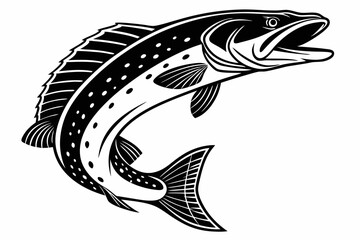 bichir sihouette black vector